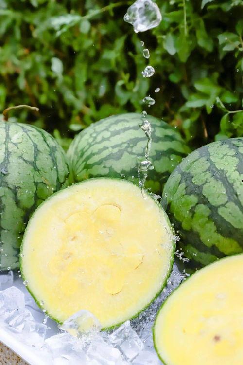 黑料吃瓜ios下载免费,揭秘娱乐圈幕后真相